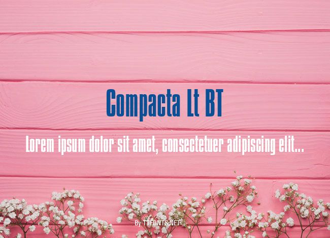 Compacta Lt BT example